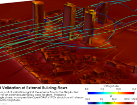 External Aerodynamics of Building Flows